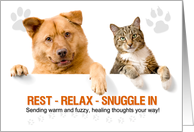 Get Well Cat and Dog with Paw Prints Rest and Relax card