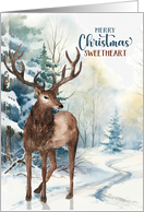 for Boyfriend Merry Christmas Woodland Reindeer in a Winter Forest card
