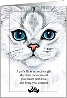 Loss of a Cat Pet Sympathy Blue and White Watercolor Sentimental card