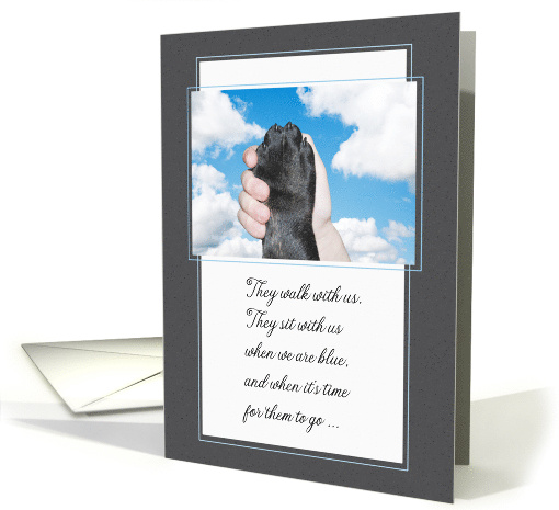 Pet Sympathy Loss of a Dog Hand Holding a Paw card (417935)