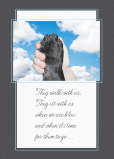 Pet Sympathy Loss of...