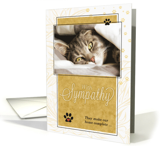 Pet Sympathy Loss of a Cat Gold and White Sentimental card (417942)