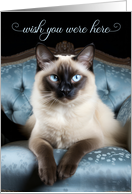 Missing You Siamese Cat on a Blue Chair card