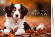 Get Well Soon Australian Shepherd Puppy Dog card