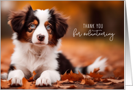 Volunteer Thank You Australian Shepherd Puppy Black and White card