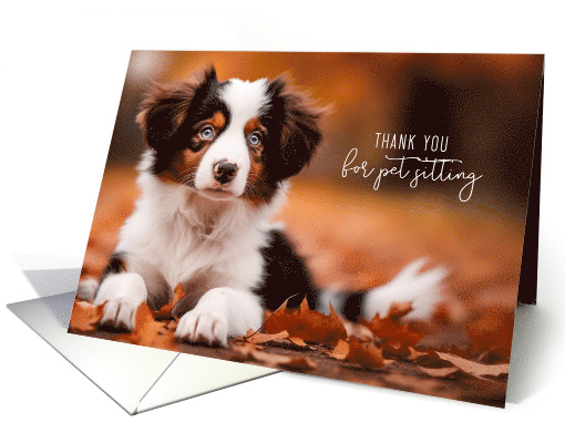 Pet Sitter Thank You Australian Shepherd Puppy Black and White card