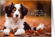 Pet Sitter Thank You Australian Shepherd Puppy Black and White card