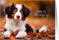 Adoption Thank You Australian Shepherd Puppy Black and White card