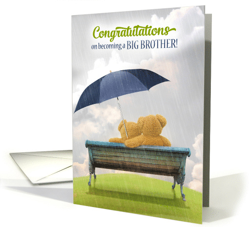 Congratulations on Becoming a Big Brother Teddy Bears card (423437)