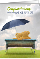 Congratulations on Becoming a Big Brother! Teddy Bears card