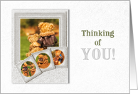 Thinking of You Teddy Bear Theme All Occasion Blank card