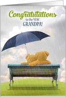 Congratulations New Grandpa Cute Teddy Bears on a Bench card