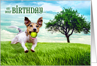 Birthday From the Dog Jack Russel Terrier Fetch card