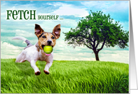 For Him on His Birthday Jack Russel Terrier Dog Fetch card