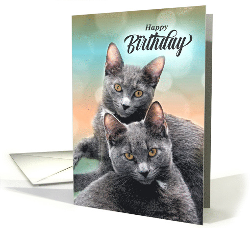 Brother's Birthday Two Gray Cats for Pet Lovers card (432083)