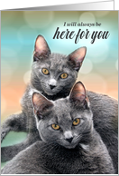 Encouragement Two Gray Cats Here for You card