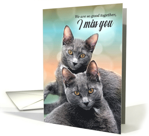I Miss You Two Gray Cats I Miss Us card (432089)
