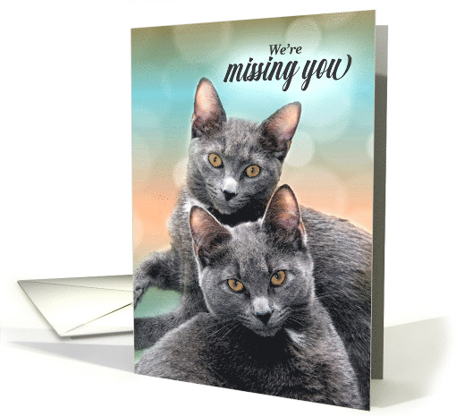 We're Miss You Two Gray Cats for the Pet Lover card (432098)