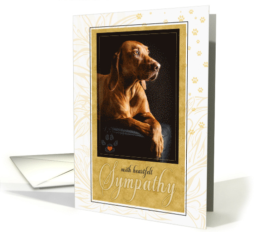 Pet Sympathy Loss of or Terminally Ill Dog in Yellow Golds card
