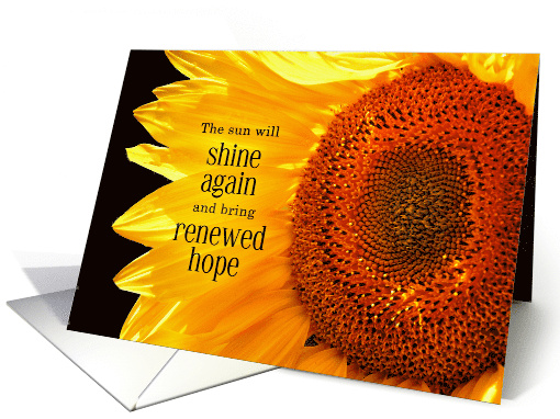 Encouragement Sunflower Renewed Hope card (433029)