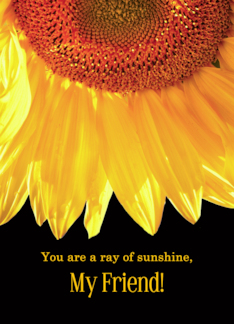 Friendship Sunflower...