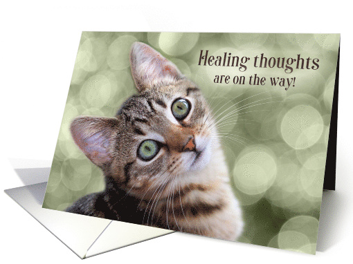 Get Well Tabby Kitten with Green Bokeh card (449787)