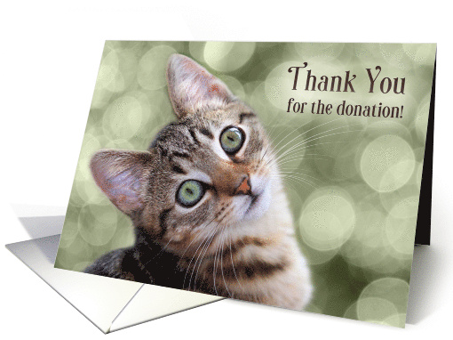 Thank You for the Donation Tabby Kitten card (449811)