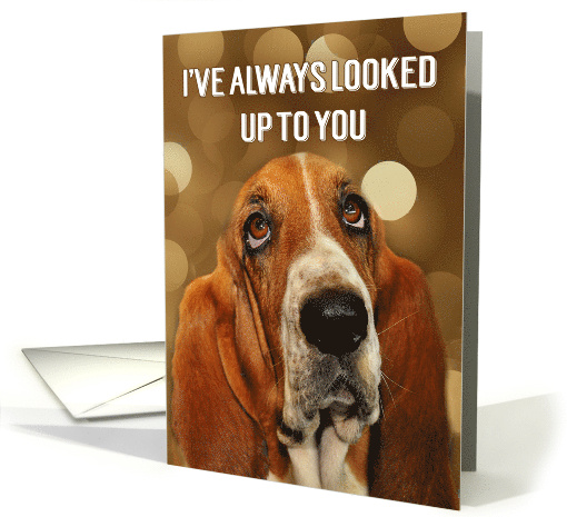 for Mentor Birthday Dog Lover Cute Basset Hound card (450953)