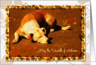 Thanksgiving Autumn Leaves with Dog Sunbathing card