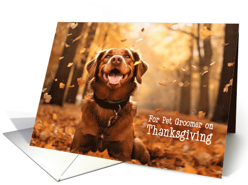 Pet Groomer Thanksgiving Chocolate Lab Dog in Autumn Leaves card