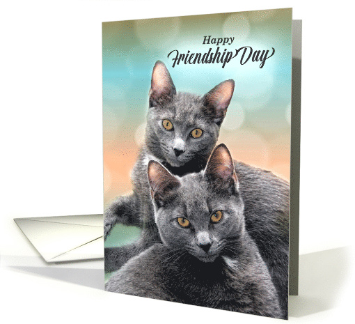Happy Friendship Day for Cat Lovers Two Gray Cats card (464769)