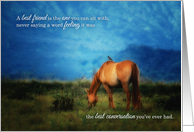 Friendship Day Horse and Wild Bird Photograph in Kauai card