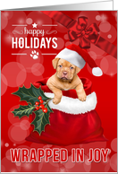 Holidays Wrapped in Joy Cute Puppy in a Santa Hat card