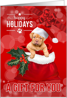 Money Enclosed Christmas Gift for You Cute Santa Puppy card