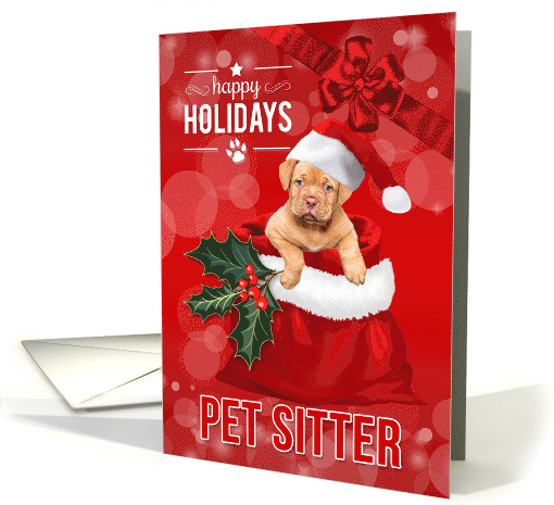 For the Pet Sitter at Christmas Puppy in Santa's Bag card (484721)