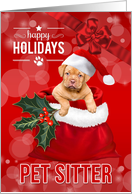 For the Pet Sitter at Christmas Puppy in Santa’s Bag card