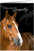 Loss of a Horse Pet Sympathy Western Sable Brown card