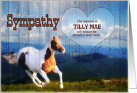 Custom Pet Sympathy Loss of a Horse Western Barn Wood card