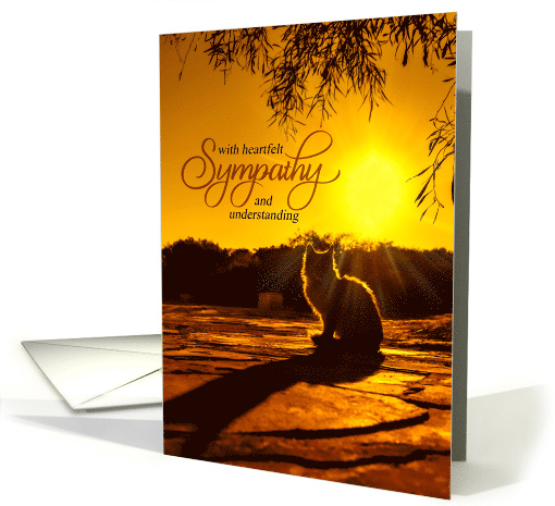 Pet Sympathy for Loss of a Cat Late Afternoon Sun card (510854)