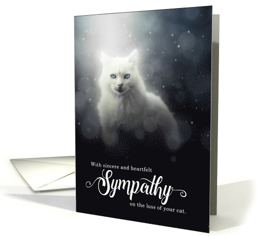 Pet Sympathy for Loss of a Cat White Kitty Surreal Setting card