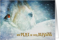 for Customers White Horse and Robin Peace Blessing card