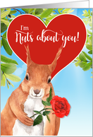 Funny Squirrel Valentine with Heart and Red Rose card