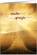 Grazie Italian Thank You Sunlit Endless Road card