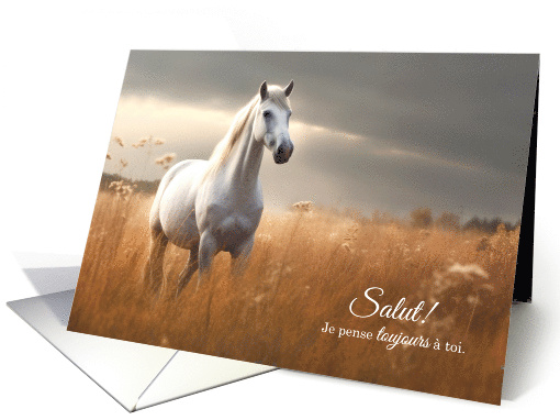 Salut! French Thinking of You Horse in Summer Grasses Blank card