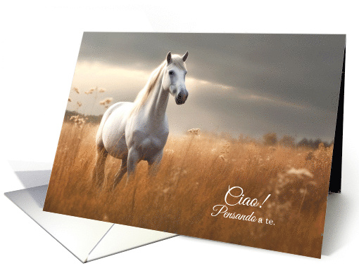 Ciao Italian Thinking of You Horse in Summer Grasses Blank card