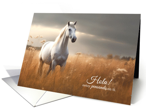 Hola Spanish Thinking of You Horse in a Summer Field Blank card