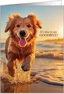 Goodbye Dog on the Beach Cute Golden Retriever card