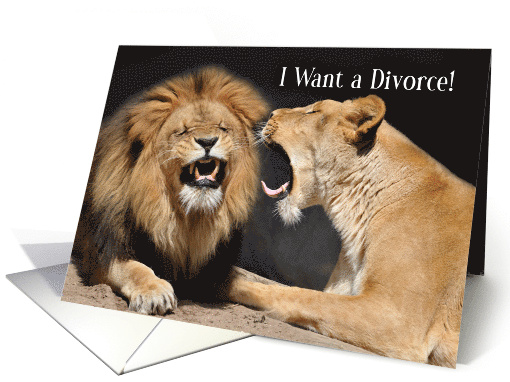I Want a Divorce Funny Lion Couple Announcement card (629218)
