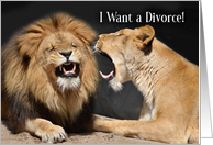 I Want a Divorce Funny Lion Couple Announcement card