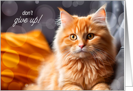Don’t Give Up Encouraging Orange Tabby Cat card